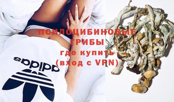 ПСИЛОЦИБИНОВЫЕ ГРИБЫ Пролетарск